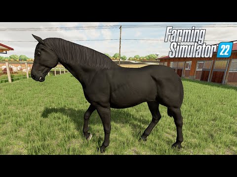 Comprei um CAVALO NEGRO para a fazenda  –  FARMING SIMULATOR 22