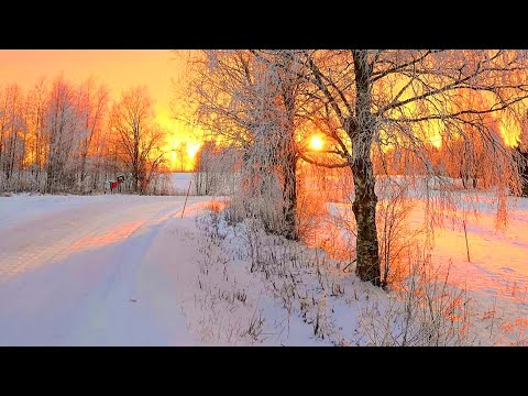 ❄Beautiful Winter Snow Scene Relaxing Piano Music –  Soothing Calm Sleep Meditation Yoga Music #03
