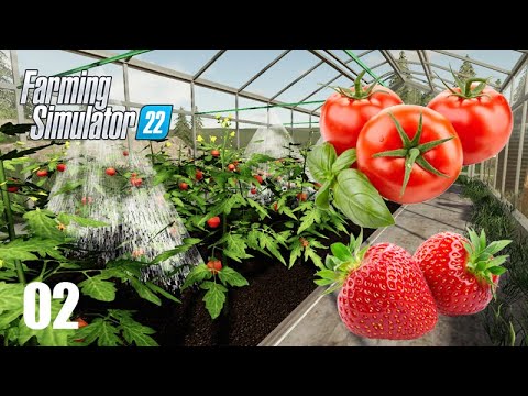 ESTUFAS – Vamos plantar MORANGO, ALFACE e TOMATE –  NOVO FARMING SIMULATOR 22