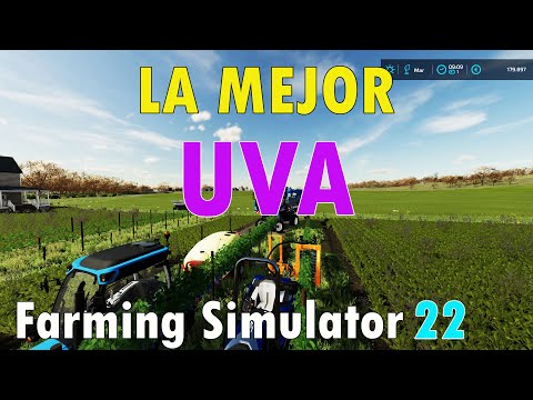 🍇👉Como SEMBRAR y COSECHAR UVA en Farming Simulator 22 🌱🚜La VIÑA en FS22