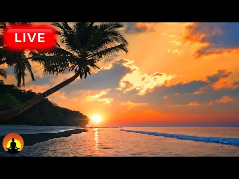 🔴 Relaxing Music 24/7, Healing Music, Meditation Music, Spa Music, Sleep, Zen, Study Music, Yoga