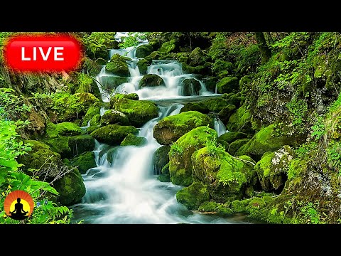 🔴 Relaxing Music 24/7, Stress Relief Music, Sleep Music, Meditation Music, Study, Calming Music