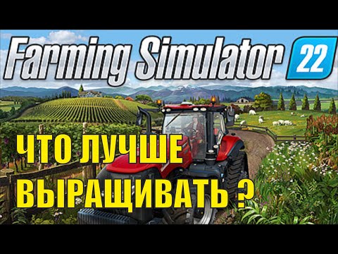 Farming Simulator 22 – Что лучше выращивать?