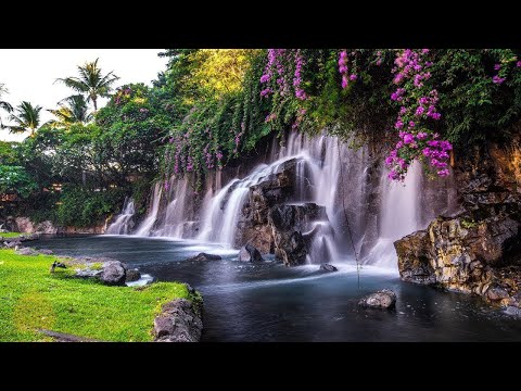 healing music for the heart and blood vessels – Gentle music, soothes the nervous system and please