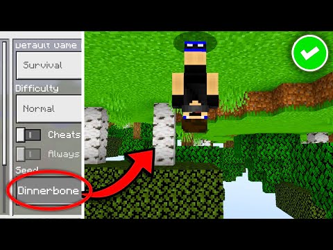 Minecraft Tajemství které zná JEN Mojang