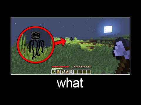 Minecraft wait what meme part 231 (Ghost)