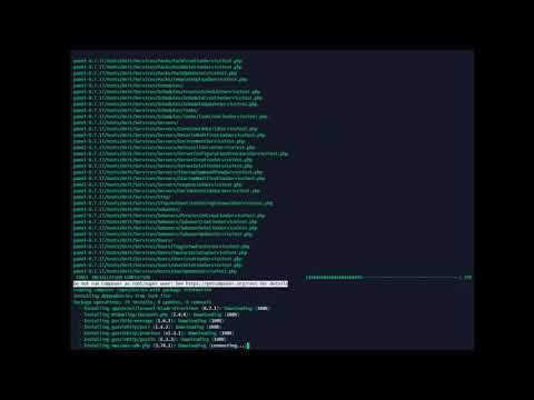Pterodactyl Installation Script: panel installation w/ progress bar on Ubuntu 18.04