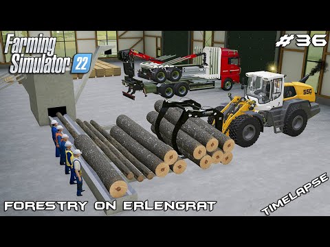 Starting SQUER TIMBER & PLANK production | Forestry on ERLENGRAT | Farming Simulator 22 | Episode 36
