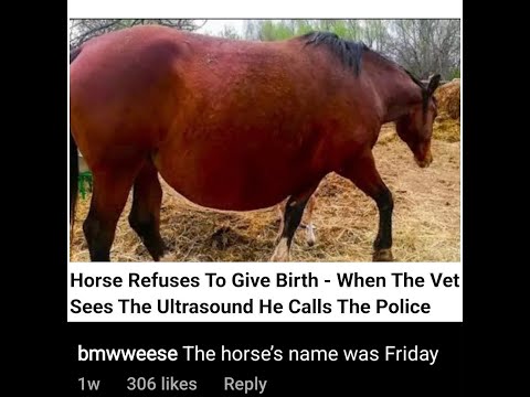 [Team Fortress 2] The Horse's Name Was Friday
