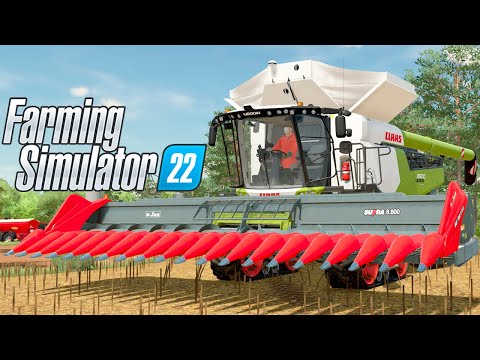 TESTANDO A NOSSA NOVA PLATAFORMA | Farming Simulator 22 | Estância São Carlos – Episódio 87