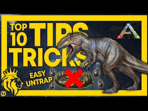 TOP 10 Tips & Tricks You Didn't Know! | ARK: Survival Evolved