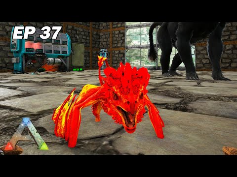 Voici ma bébé Wyverne de Braise ! Ark Survival Evolved Ep37 Arkfaxia S3