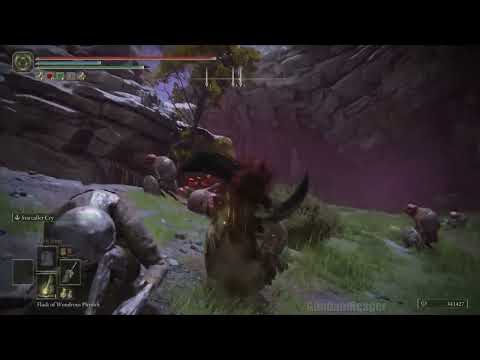 54k Runes every 30 seconds in Elden Ring! No glitch no exploits!