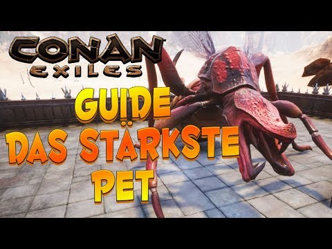 CONAN EXILES GUIDE: Das stärkste Pet in Conan Exiles!