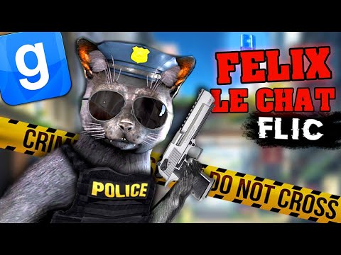 FELIX LE CHAT FLIC #2 – GARRY'S MOD DARKRP