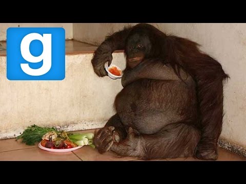 GARRYS MOD |MURDER| HACIENDO EL ORANGUTÁN MUERTO, CUIDADO CON EL BARRIL xFaRgAnx
