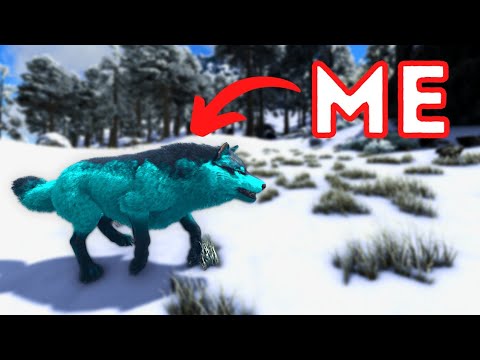 I'm a WOLF in Ark Survival Evolved! – Play As Dino Mod V2
