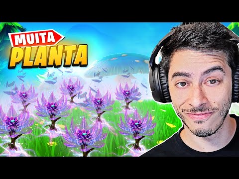 PLANTA PLANTA PLANTA