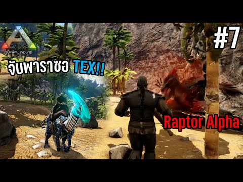 Ark Survival Evolved #7 – ตามล่าจับพาราซอ TEX!! แต่ดันเจอแร็พเตอร์อัลฟ่า