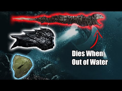3 Unknown Facts to Tell Your Friends in Barotrauma