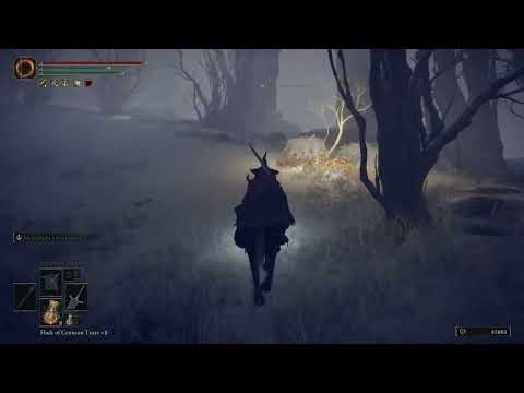 A really embarrassing Elden Ring death
