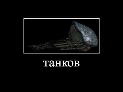 Barotrauma мем