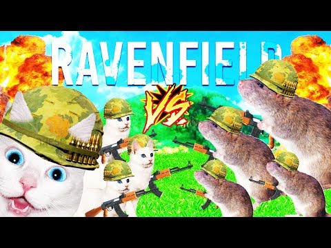 EJERCITO DE GATOS VS EJERCITO DE RATAS | RAVENFIELD