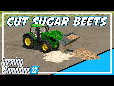 FS22 How To Cut Sugar Beets | Farming Simulator 22