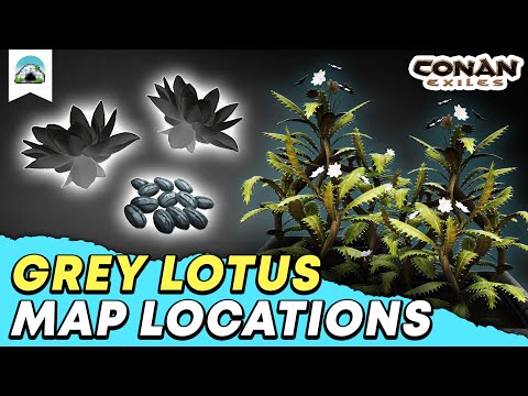 Grey Lotus Locations: Where to find Grey Lotus & Easy Grey Lotus – Guide | Conan Exiles 2022