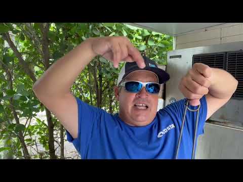 How to Release Bottom Fish with Barotrauma Using a Descending Device