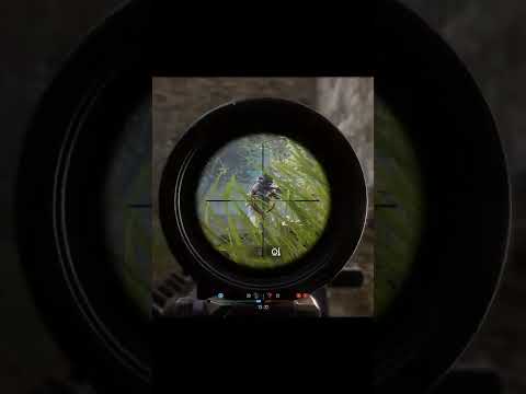 Insurgency Sandstorm Sniping #shorts