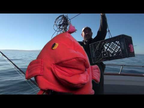 Is Barotrauma Keeping You Up? Try Getting Down with Recompression!