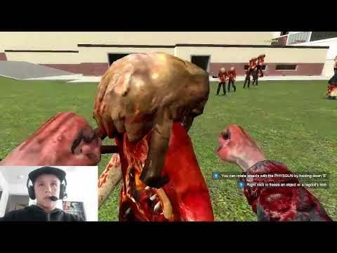 Zombie fighting with fists(Gary's Mod)