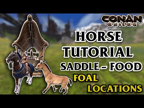 Everything About Horses – Saddle And Food ! All Foal Locations – Conan Exiles Tutorial