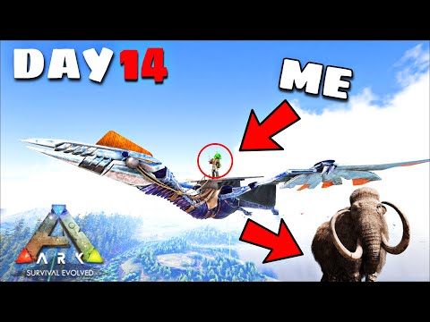 TAMING THE BIGGEST TEK BIRD DINOSAUR EVEN BIGGER THEN MAMMOTH  🔥| ARK Survival Evolved EP14 In HINDI