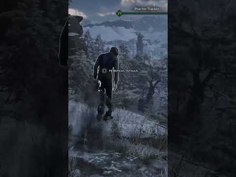 Finishing moves are crazy in Hogwarts Legacy..🤯