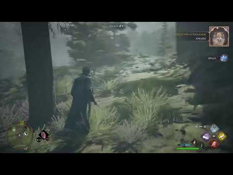 Hogwarts Legacy Cap 13