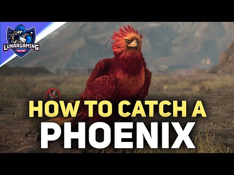 How To Get The Phoenix Animal – Hogwarts Legacy