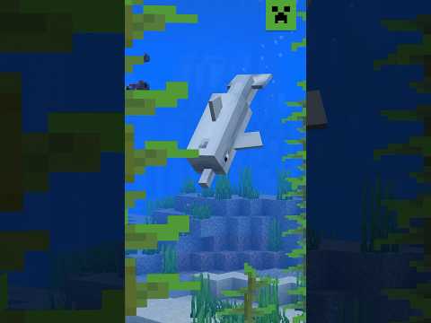 Minecraft: The Great Wild | Ocean – Full Episode on Our Channel