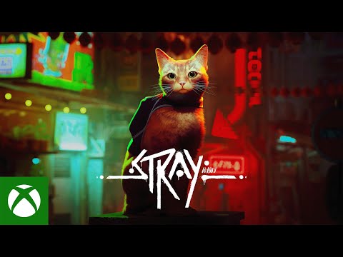 Stray – Coming to Xbox August 10