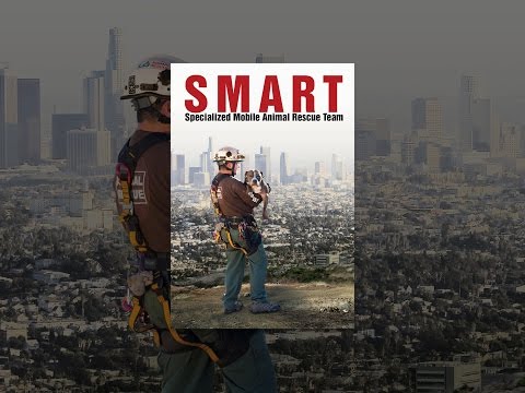 SMART: Specialized Mobile Animal Rescue Team