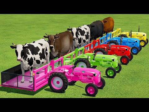 TRANSPORTING COWS WITH COLORED MINI TRACTORS & TAM TRUCKS – Farming Simulator 22