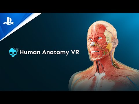 Human Anatomy VR – Launch Trailer | PS VR2 Games