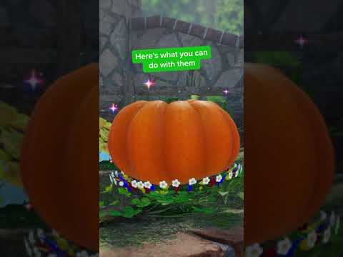 Here’s what it’s like to be an explorer. #Pikmin4