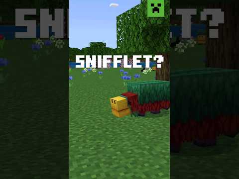 ASK MOJANG – How the Sniffer got it’s name?