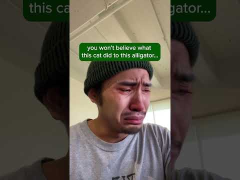 can’t believe the cat did the alligator like that 😭