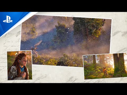 Horizon Forbidden West – Aloy’s Forest | PlayStation