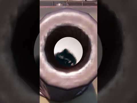 How it looks like down a barrel of a warship gun!