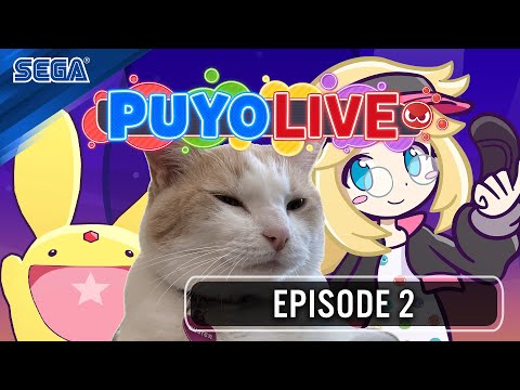 PuyoLive Episode 2 – “Puyo Puyo Pet Party!” (Puyo Puyo Puzzle Pop)