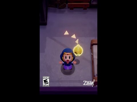 The Legend of Zelda: Echoes of Wisdom – In One Word – Nintendo Switch